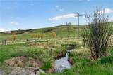 297 Paper Trail - Photo 50