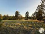 119 Log Cabin Road - Photo 47