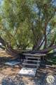 29 Teesdale Lane - Photo 16