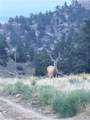 5815 Chief Buffalo Horn Trail - Photo 8