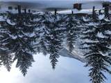 9 Moose Haven - Photo 48