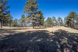 4903 Indian Ridge Road - Photo 46