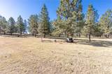 4903 Indian Ridge Road - Photo 48