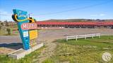 1307 Highway 12 - Photo 1