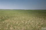 TBD Winter Wheat Way - Photo 10