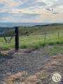 Rebecca Newell 6707 Moser Dome Rd Road - Photo 14