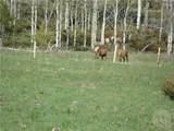 95 Little Moose Creek - Photo 31