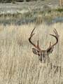 TBD County Rd 147A - Photo 15