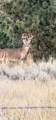 TBD County Rd 147A - Photo 25