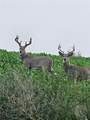 TBD County Rd 147A - Photo 3