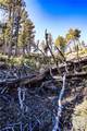 0 Dry Hole Trail - Photo 6