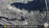 NHN Lookout Point - Photo 1