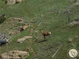 NHN Lookout Point - Photo 14