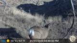 NHN Lookout Point - Photo 28