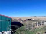 7069 Mainwaring - Photo 16