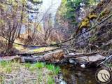 3925 Little Wolf Creek Road - Photo 11