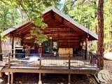 3925 Little Wolf Creek Road - Photo 4