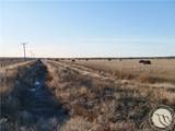 146 Acres Hwy 363 - Photo 13