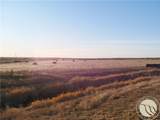 146 Acres Hwy 363 - Photo 14