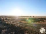 146 Acres Hwy 363 - Photo 15