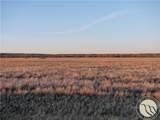 146 Acres Hwy 363 - Photo 21