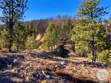 NHN Pony Gulch - Photo 13