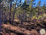 NHN Pony Gulch - Photo 14