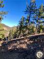 NHN Pony Gulch - Photo 22