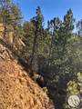 NHN Pony Gulch - Photo 5