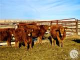 0 Buena Vista Road - Photo 18
