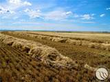 0 Buena Vista Road - Photo 29