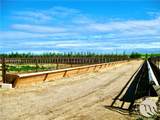 0 Buena Vista Road - Photo 5