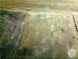 0 Road 220 - Photo 8