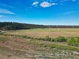 97 Balfour Loop Road - Photo 12