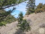 Lot 381&379 Pole Gulch Road - Photo 10