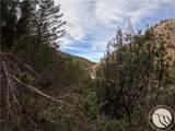 Lot 381&379 Pole Gulch Road - Photo 13