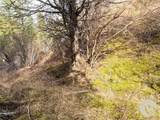 Lot 381&379 Pole Gulch Road - Photo 19