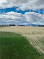 25 Horseshoe Trail - Photo 5