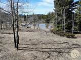 95 Little Moose Creek - Photo 30