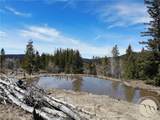 95 Little Moose Creek - Photo 31