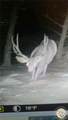 95 Little Moose Creek - Photo 32