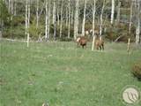 95 Little Moose Creek - Photo 33