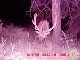 95 Little Moose Creek - Photo 34