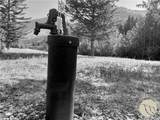 7 Black Bear Trail - Photo 38