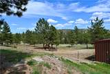 22 Whitetail Lane - Photo 24