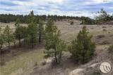 5750 Pleasant Hollow Trail - Photo 24