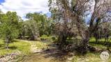 6058 Cottonwood Creek Road - Photo 24
