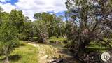 6058 Cottonwood Creek Road - Photo 25