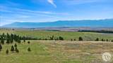 422 Shane Ridge Road - Photo 5