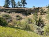 1455 Canyon Trail Road - Photo 35